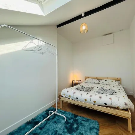 Casa Bressigny 公寓 昂热